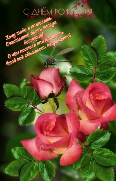 file_89770082