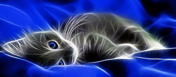 Abstract-Lion-Cat-Widescreen-Image