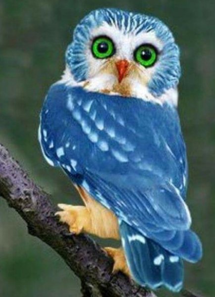 image (9)