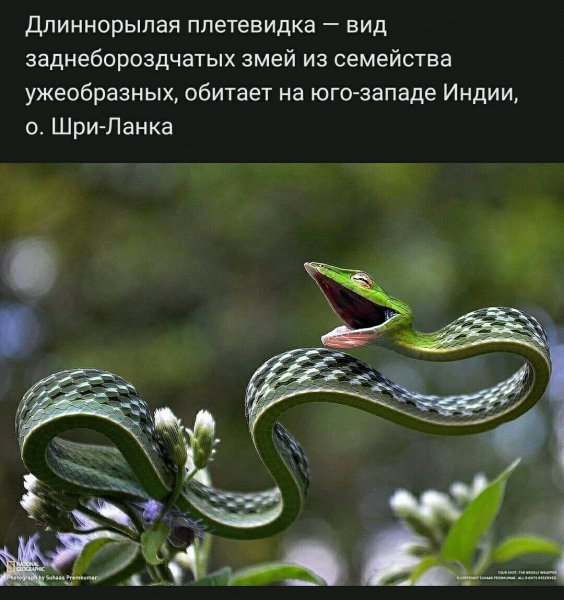 file_85110721