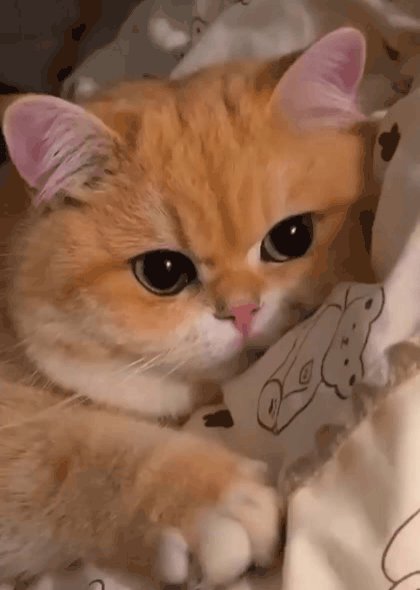 GIF 20250920 045026 600