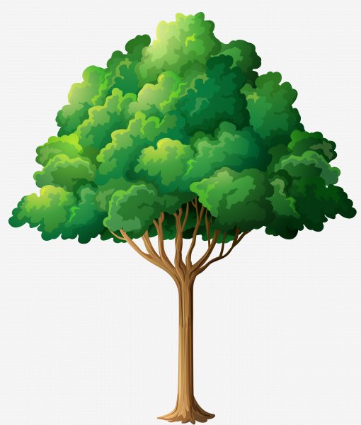 25.tree.tree.clipart