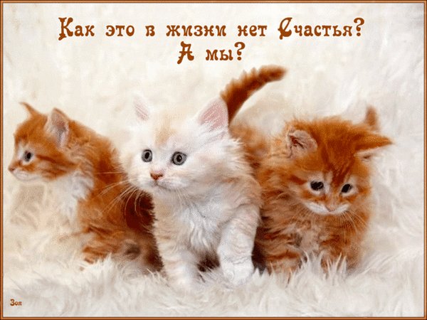 phw65xj7k0si2m9