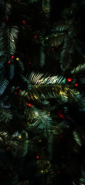 file_92436785