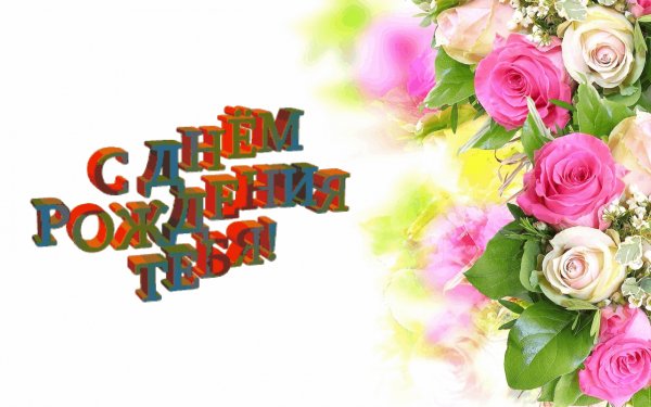 НежныеРозыСДР