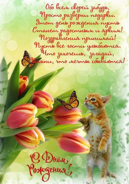 IMG 20240613 193501 515