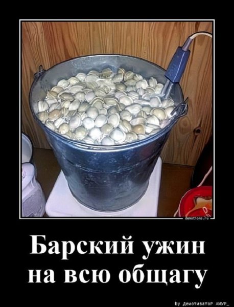 Барский ужин на всю общагу