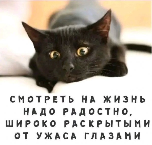 file_103176732