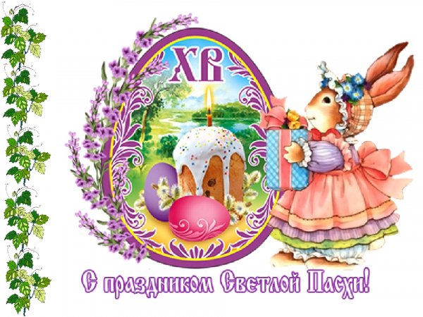file_84186560
