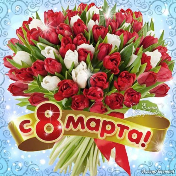 IMG 20240308 151418