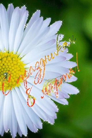 file_80805371