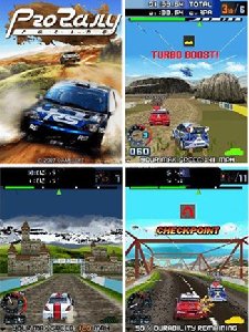 Pro Rally-Racing