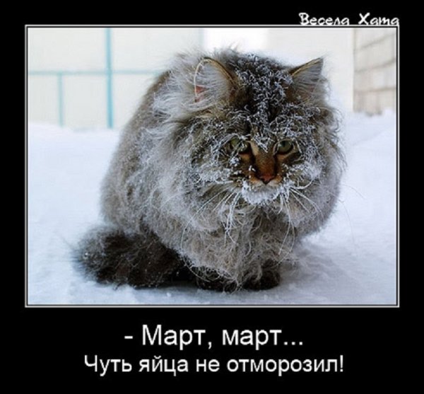 Март, чуть яйца не отморозил