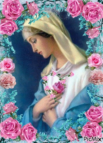 Mary roses pink