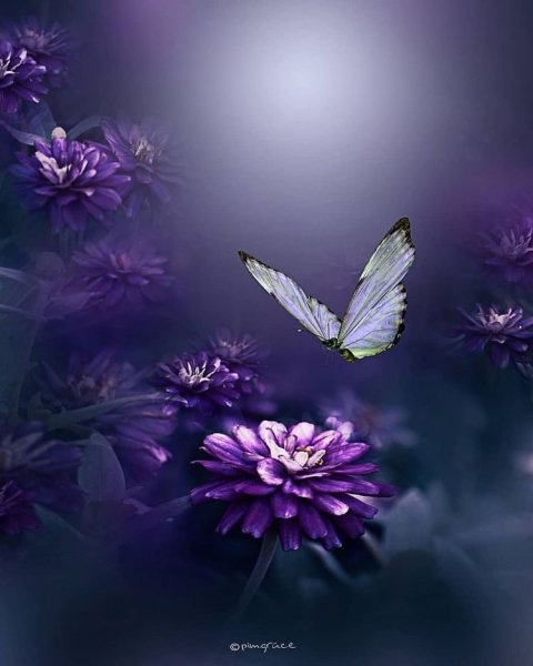 IMG-9a2eb28455bc3b7da5c2f3037e8659cc-V