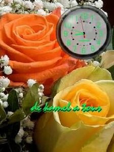 Nature anim