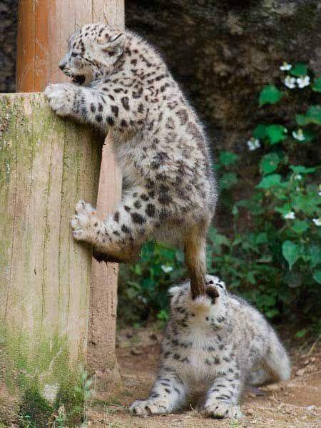 Eab78dc6ea5ca6e4a57f7407d201b046