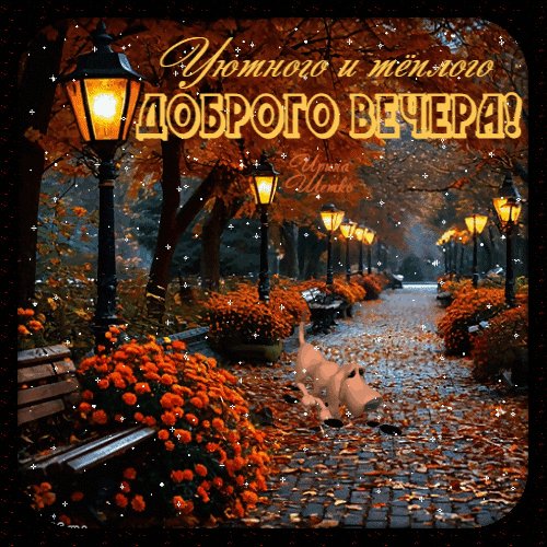 Анимированная открытка добрый вечер
