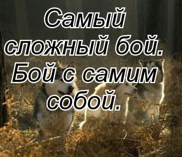 IMG 20250527 025203
