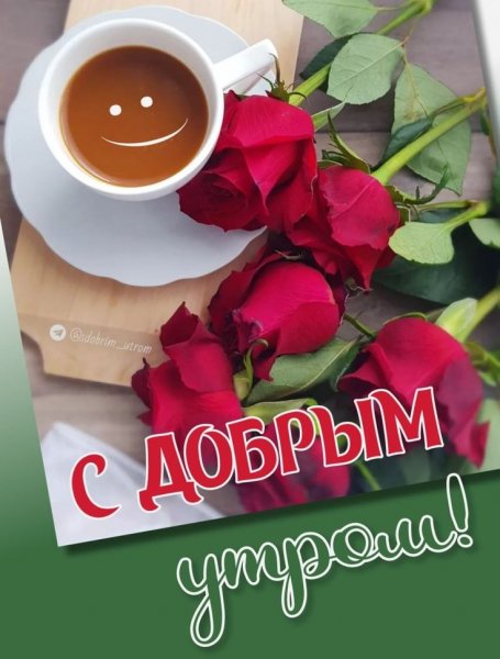 Aedf83e373810ca4a5ed10bddbecab24