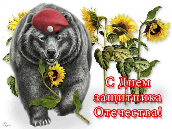 С 23 Февраля!