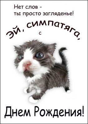 Симпатяга С Днем Рождения