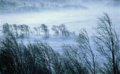 Эдуард Асадов Зимняя сказка