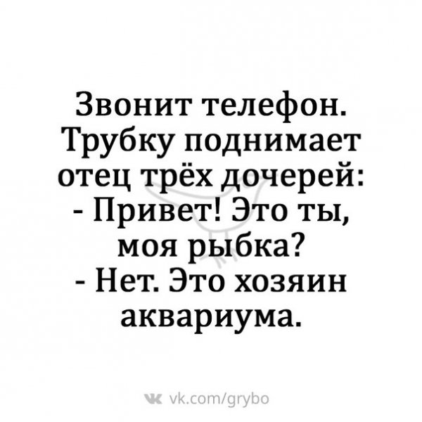 grybo-544081