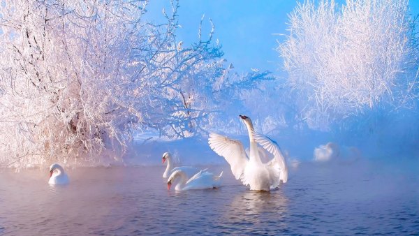file_78744493