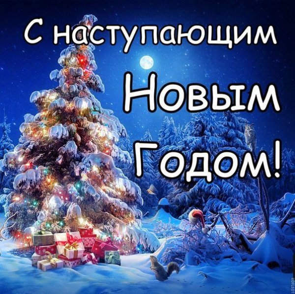 С наступающим Новым Годом