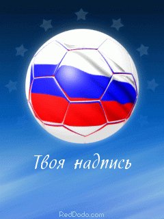 euro2008240x320