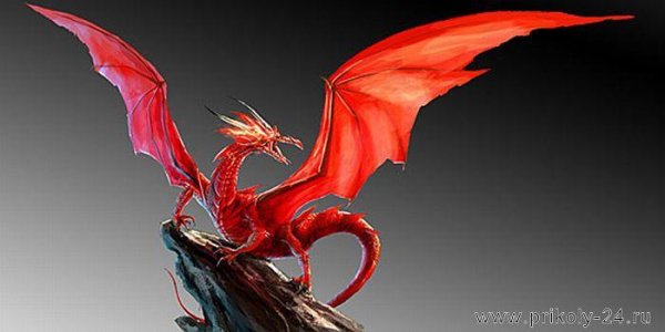 1 Стать драконом