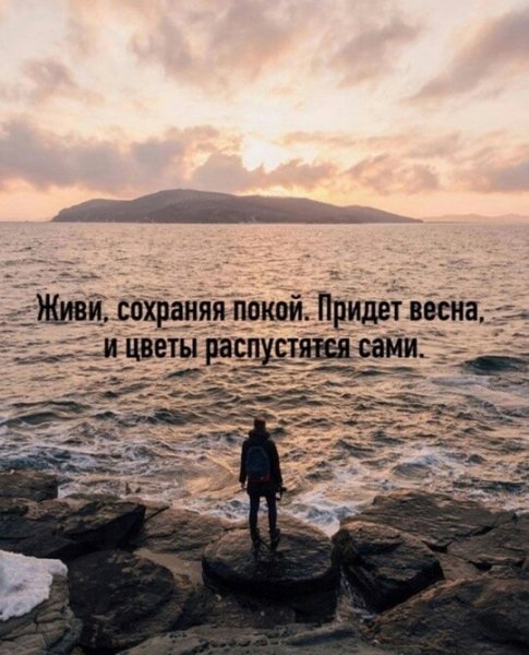 IMG 20250304 171739