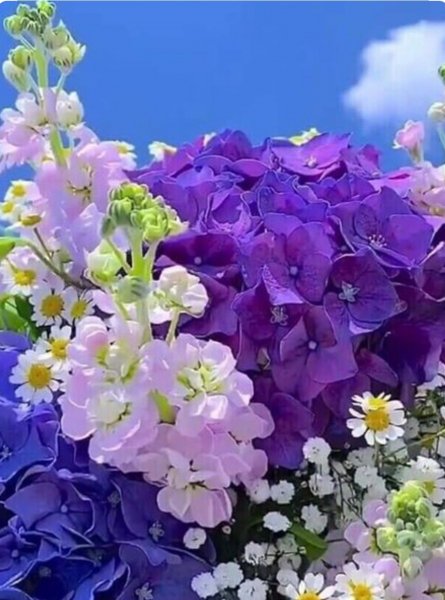 file_89422505