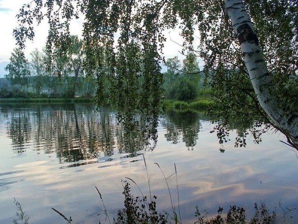 Красота