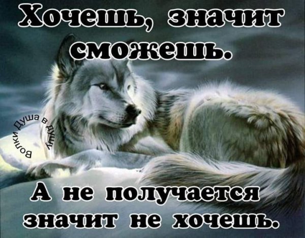 Сможешь