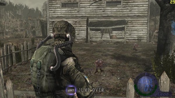 psevdogigant x gallinas