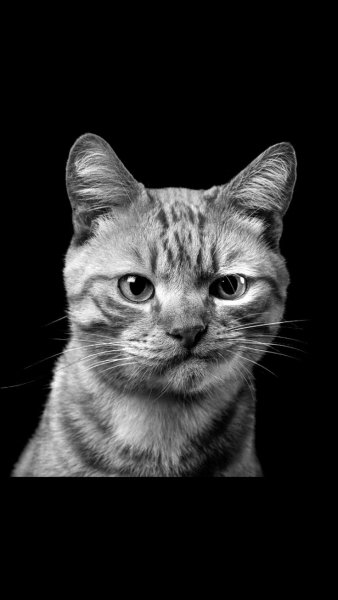 9b1f280382b19719a2e3a464612bcc82