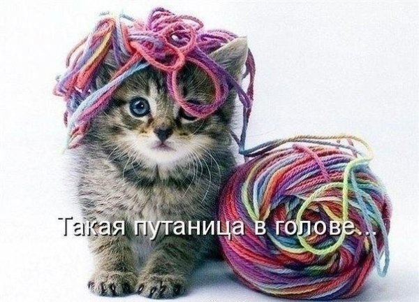 Путаница