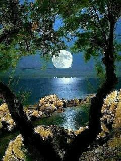 file_77066367