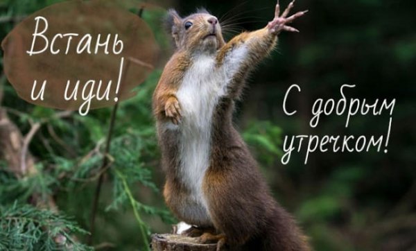 С добрым утричком
