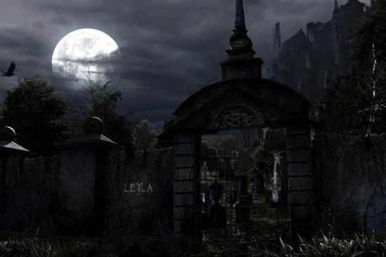 0a0d3f60dd44d4126645ec5f46026a4c