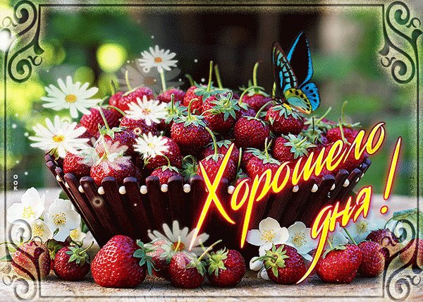 Анимированная открытка хорошего дня (4)