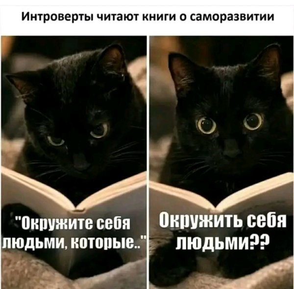 file_103530777