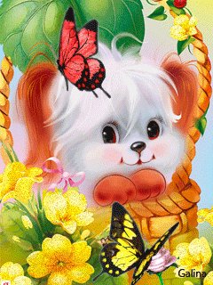 file_558567