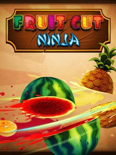 FruitCutNinja240х400