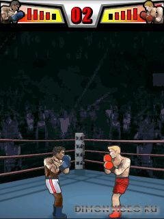 boxing 240 320