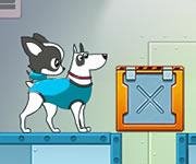 Dogs in Space