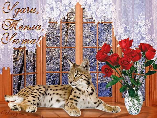 Анимированная открытка удачи тепла уюта