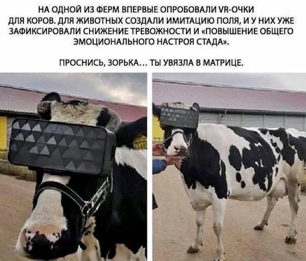 Может и мы так?